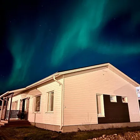Arctic Venni *
